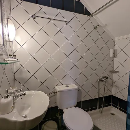 Pensiune Traditional Lanari 3*